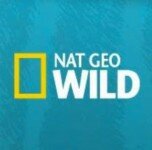 nat geo wild